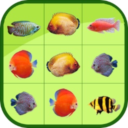安博app官方网站APP